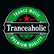 laut.fm trancechannel 