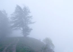 Auf einer Gefängnisinsel zieht ein ewiger Nebel auf und eine unbekannte Leiche wird angeschwemmt