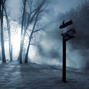 Die Toten schweigen, und wenn die Lebenden endlich anfangen zu sprechen, müssen sie sterben