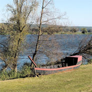Wie sieht es mit der Zukunft der Oder aus?