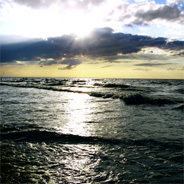 In der Ostsee schwimmt eine Leiche 