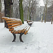 Im winterlichen Park findet Paul eine Frau, die nackt und hilflos im Schnee liegt