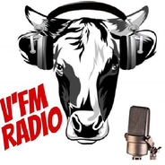 V'FM RADIO normandie-Logo