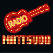 Radio Nattsudd-Logo