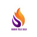 Radio Tele  Silo-Logo