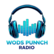 W.O.D.S. PUNNCH RADIO-Logo