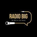 Radio BIG-Logo