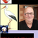 storcka elsass webradio 