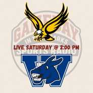 Gameday in the Ozarks Sports Radio-Logo