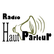 Radio Haut Parleur 