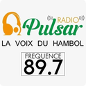 Radio Pulsar CI-Logo