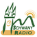 Radio Schwany Weihnachtsradio 