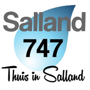 Salland 747-Logo
