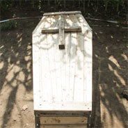 Das Bestattungsinstitut der Schwestern Tombstone läuft nicht gut - neue Leichen müssen her
