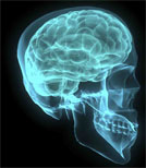 Gehirnmanipulation mit Folgen