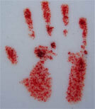 Die Reise nimmt eine blutrote Wendung.