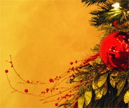 phonostar bietet dir das perfekte Weihnachtsprogramm zum Fest