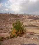 Die gemischten Beziehungen werden von der Gesellschaft nicht akzeptiert.