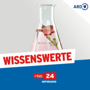 Wissenswerte-Logo