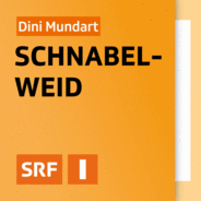 Dini Mundart Schnabelweid-Logo