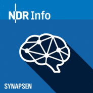 Synapsen – ein Wissenschaftspodcast-Logo