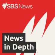 SBS News In Depth-Logo