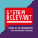 Systemrelevant - Der Wirtschafts-Podcast der Hans-Böckler-Stiftung-Logo