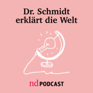 Dr. Schmidt erklärt die Welt-Logo