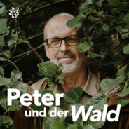 Peter und der Wald – ein GEO-Podcast-Logo