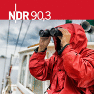 Düsse Week: Der Wochenrückblick auf Platt-Logo