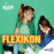 Flexikon-Logo