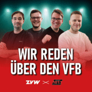 Wir reden über den VfB-Logo