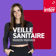 Veille sanitaire-Logo