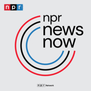 NPR News Now-Logo