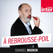 A rebrousse poil-Logo